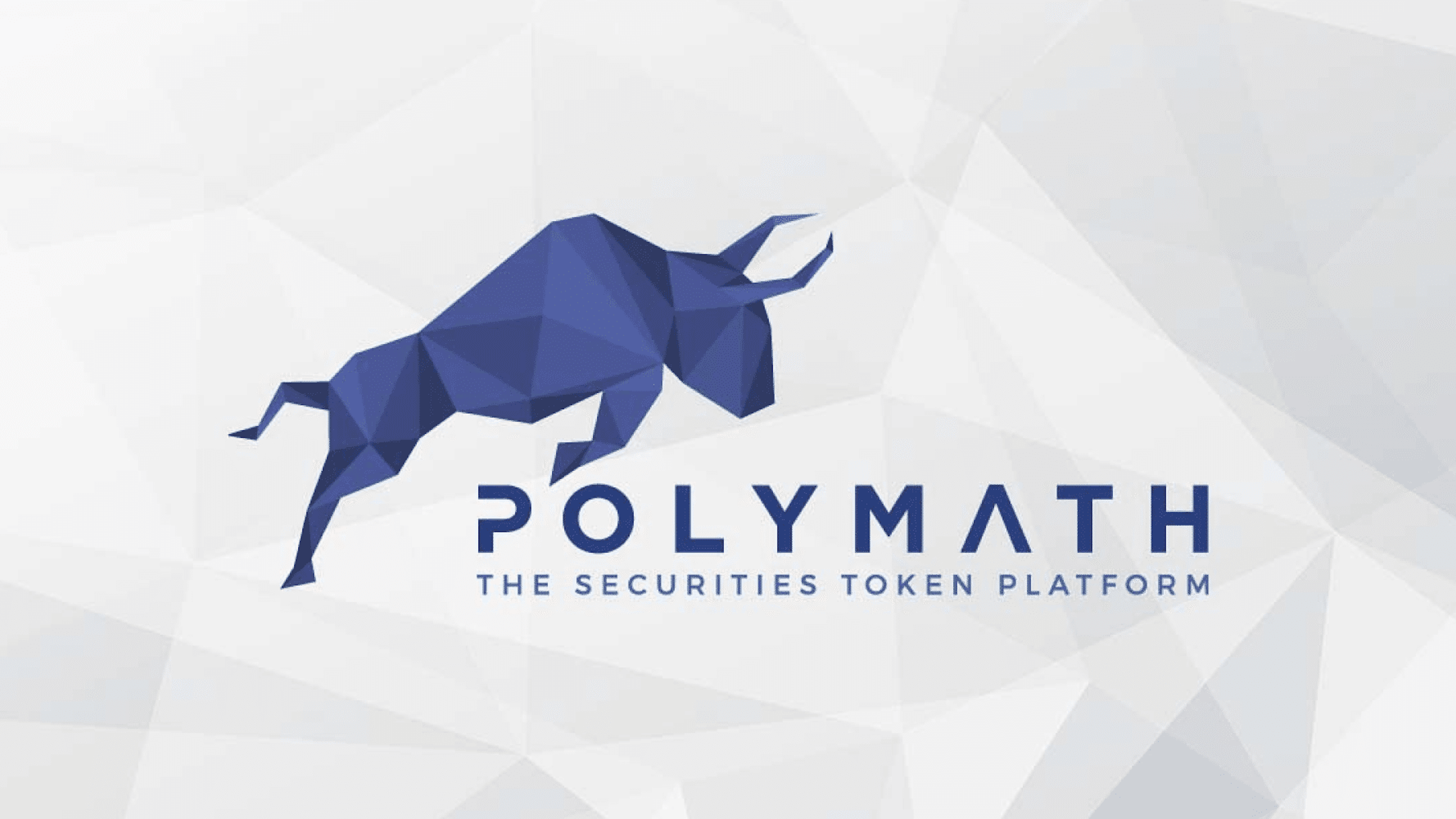 Everything You Need To Know About Polymath
