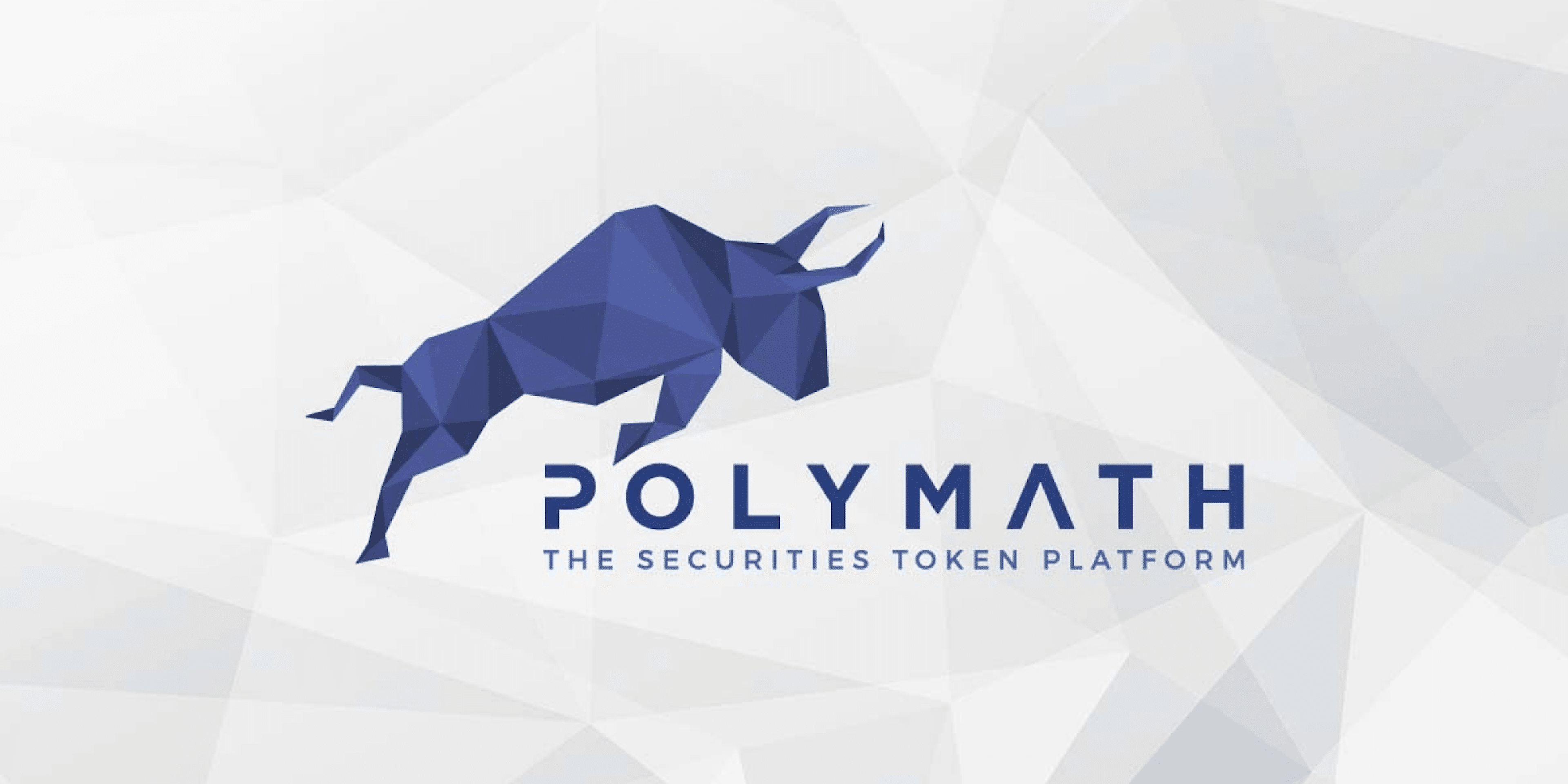 Everything You Need To Know About Polymath