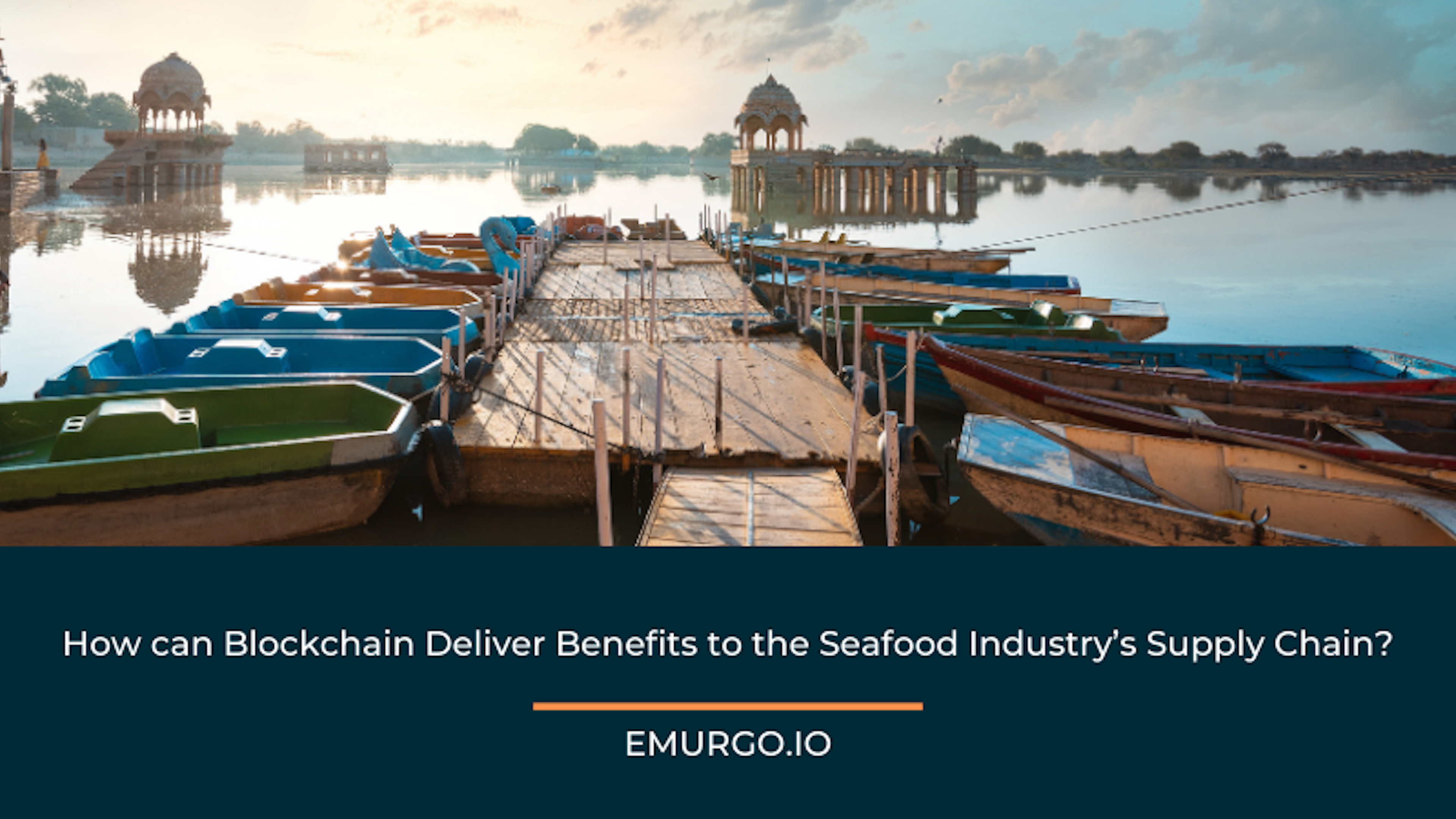 How can Blockchain Deliver Benefits to the Seafood Industry’s Supply Chain?