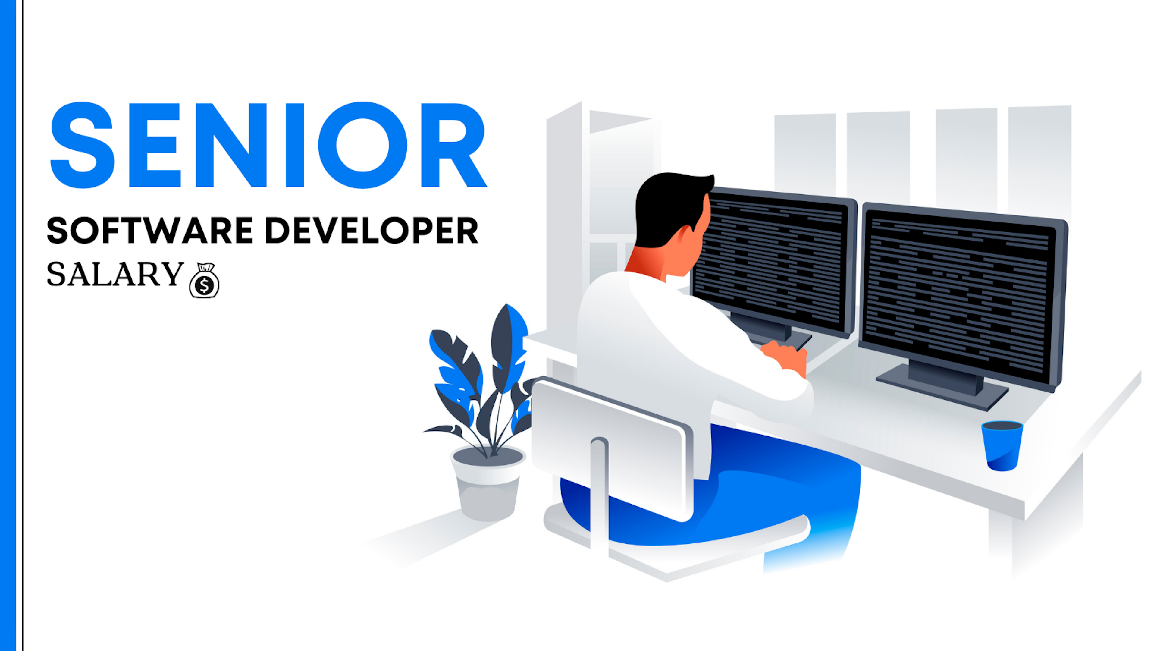 Senior Software Developer Salary | What to Expect?